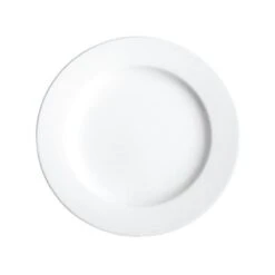 Assiette, Large Rim, 9 Po, "Polaris Continental"